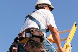 BCI Roofer Climbing Ladder